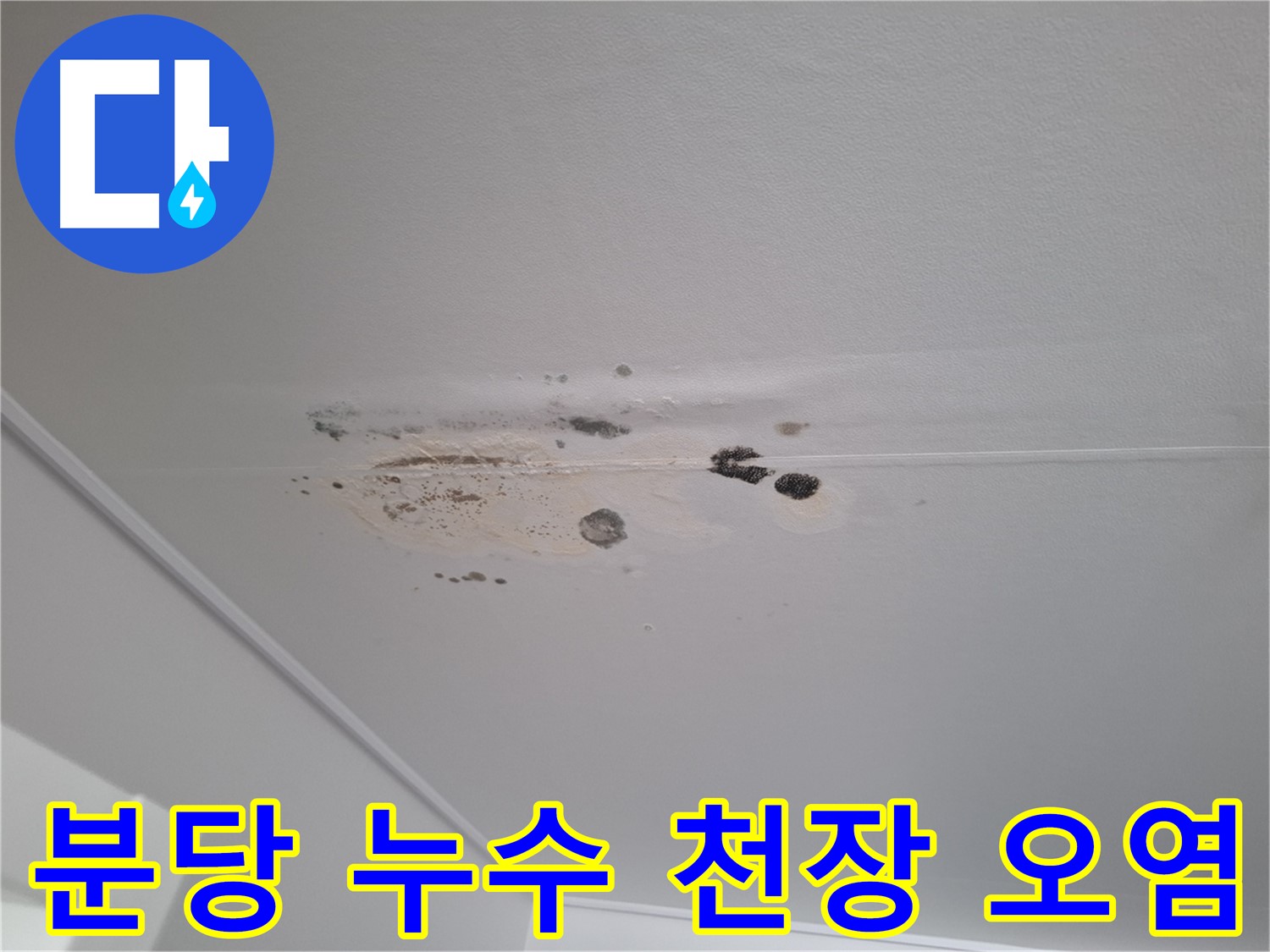 천장 누수 - 심각한 오염, 건강에 해로워요