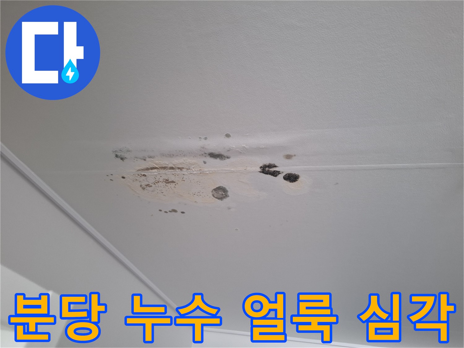 천장 누수 - 얼룩 심각, 미관을 해쳐요