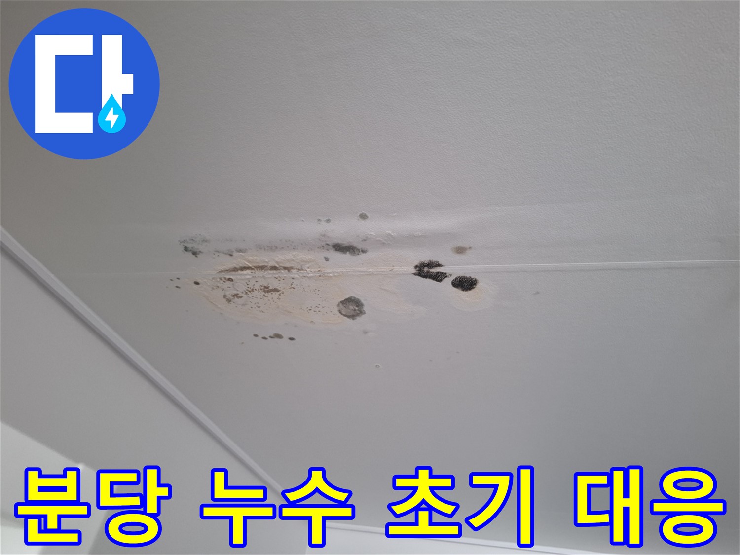 천장 누수 - 초기 대응으로 큰 피해를 막을 수 있어요