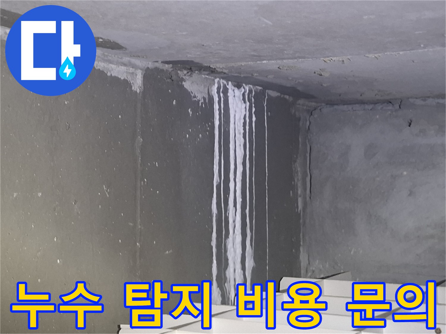 판교 건물 누수 - 누수 탐지 비용 문의 환영