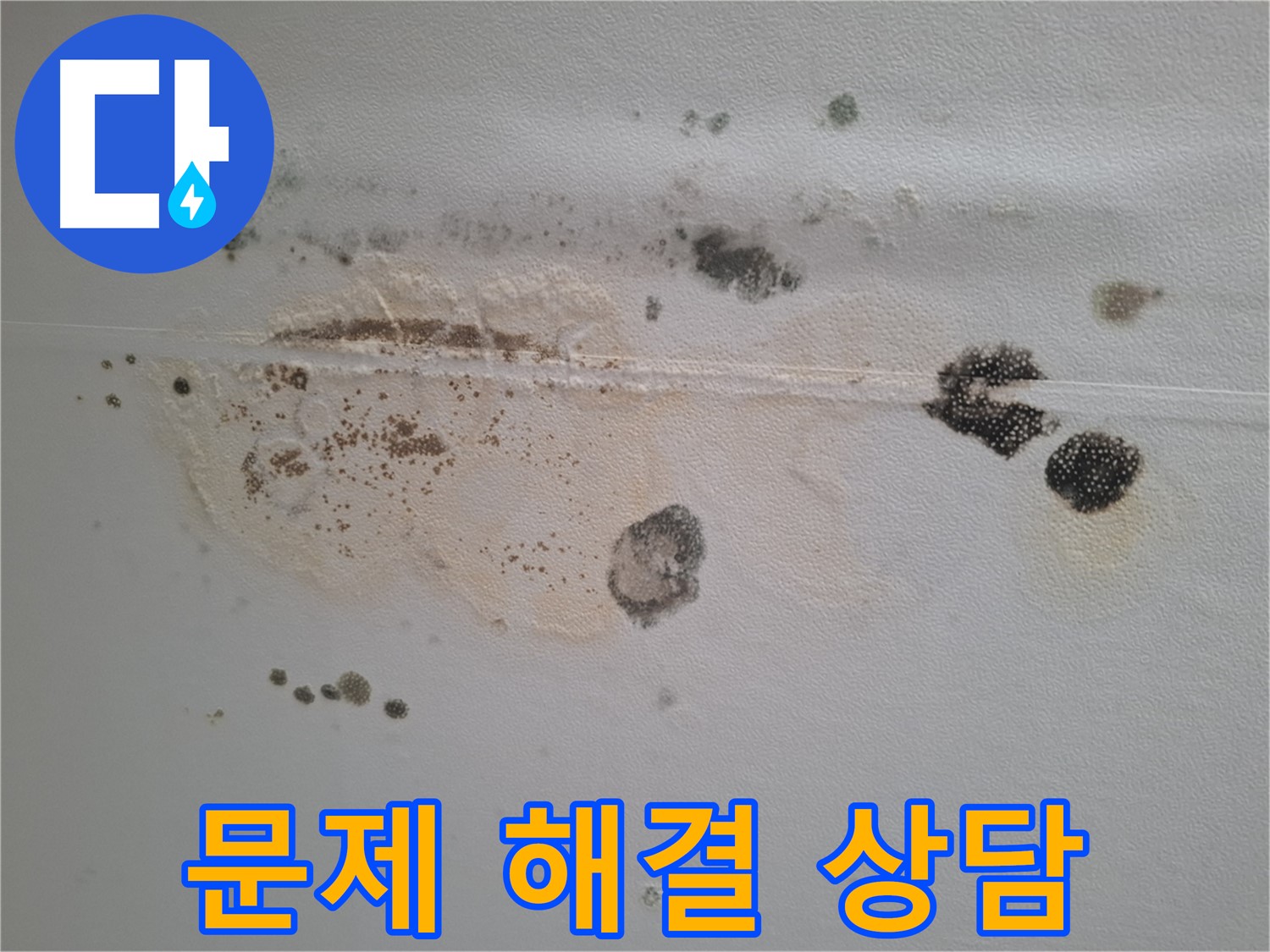 판교 누수 - 곰팡이 문제 해결 전문 상담