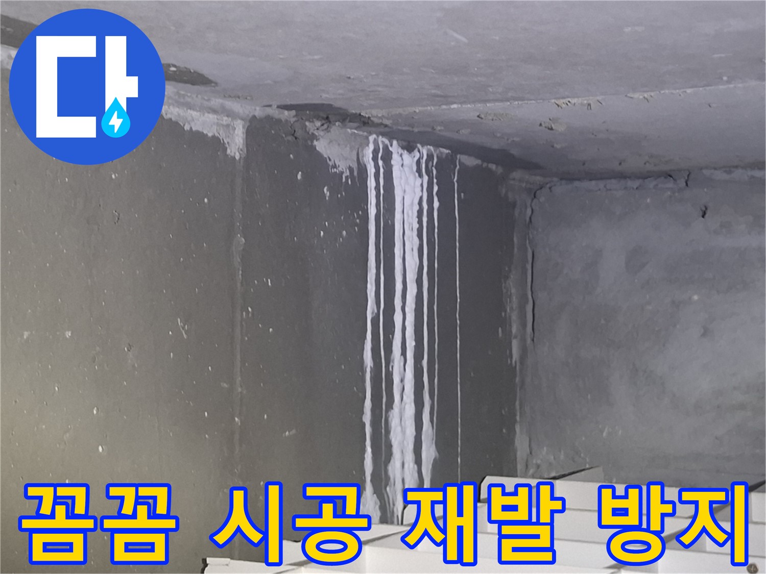 판교 누수 공사 - 꼼꼼 시공으로 누수 재발 제로