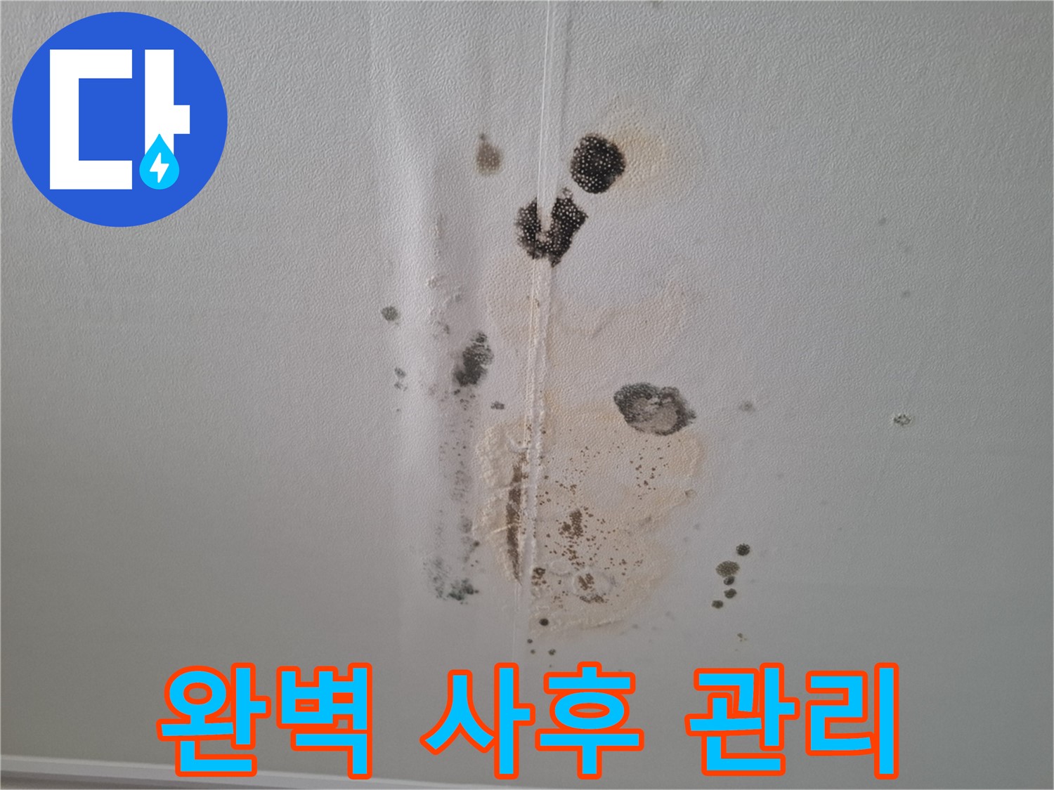 판교 누수 - 완벽한 사후 관리로 곰팡이 문제 재발 방지