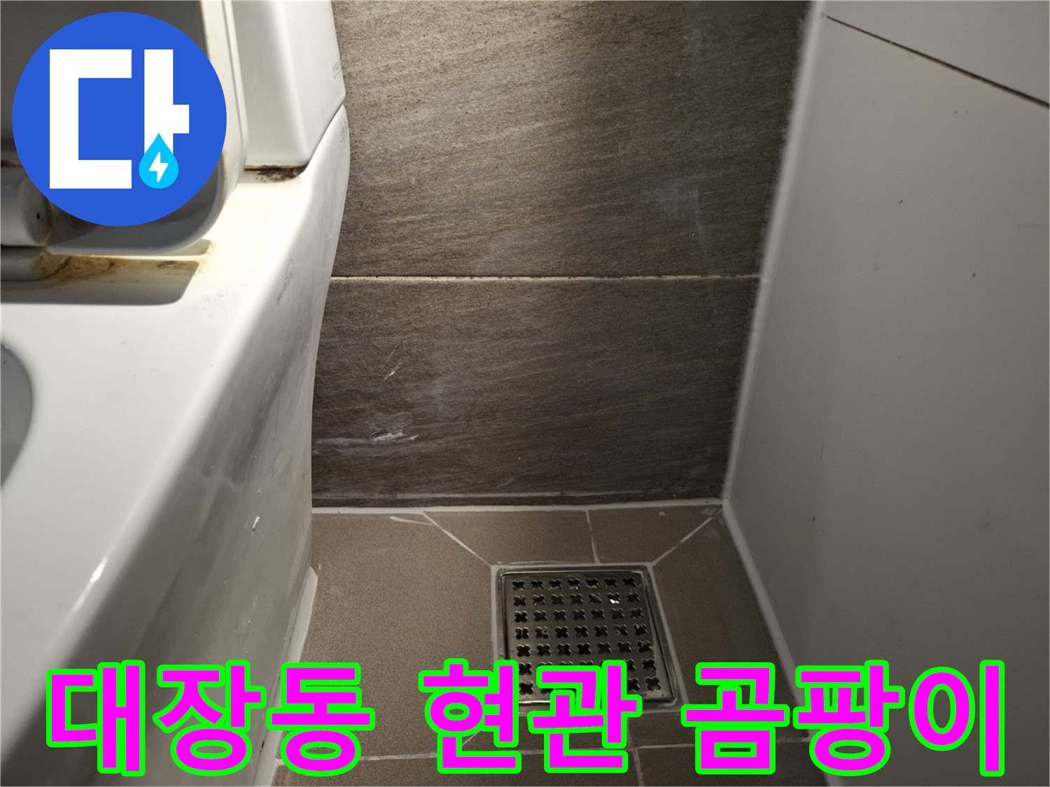 판교 대장동 현관문 주변 곰팡이 - 빗물 누수 의심