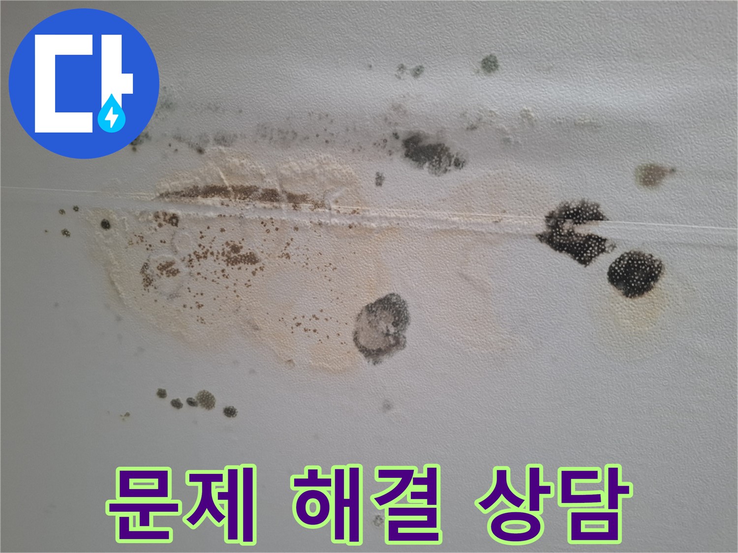 판교 봇들마을 누수 - 곰팡이 문제 해결 전문 상담 및 시공