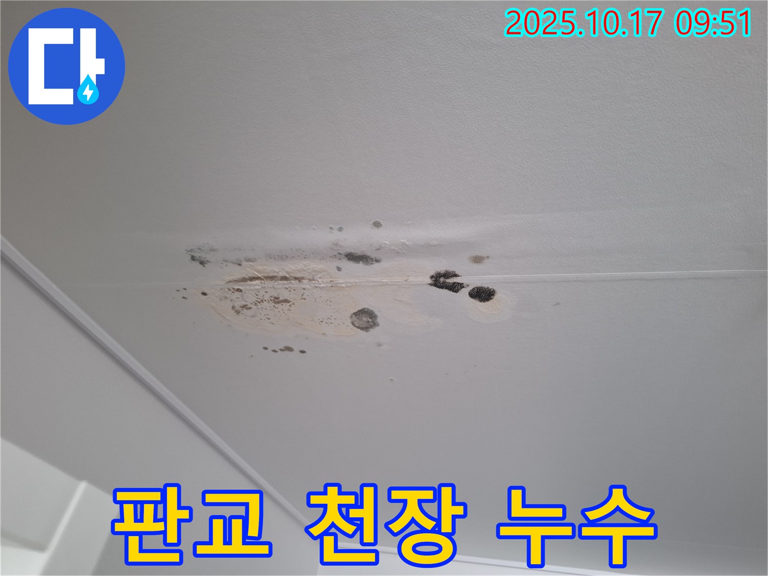 판교 봇들마을 아파트 천장 누수 - 곰팡이 발생으로 인한 누수 문제 해결 과정