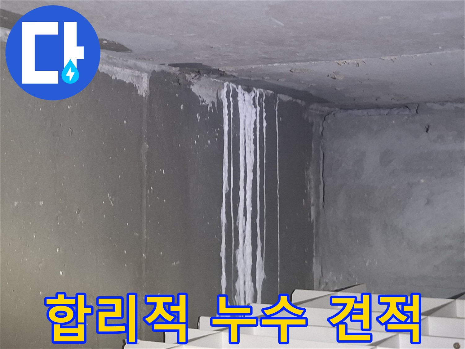 판교 삼평동 누수 - 합리적인 누수 견적 제공