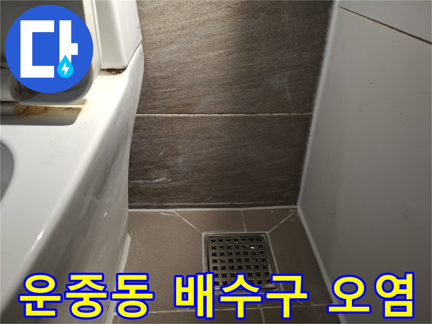 판교 운중동 화장실 배수구 덮개 주변 오염 - 청소 해결?