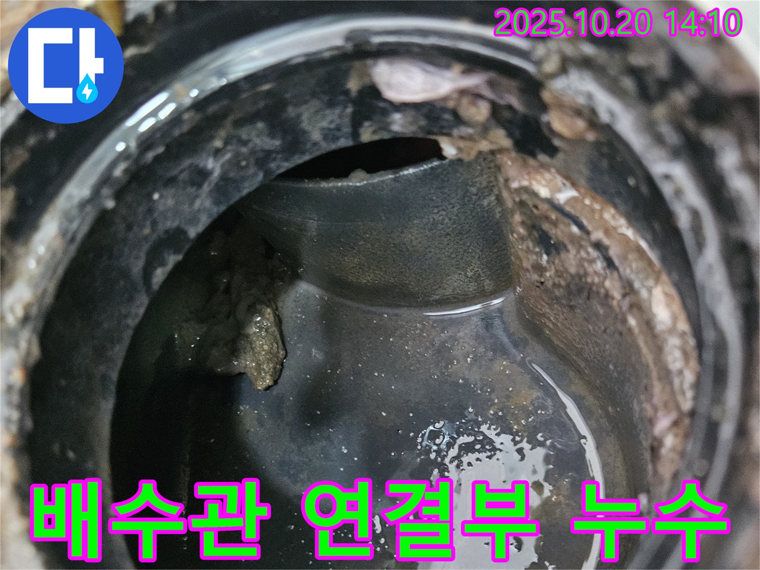 배수관 연결부 문제 - 누수 발생 지점 확인