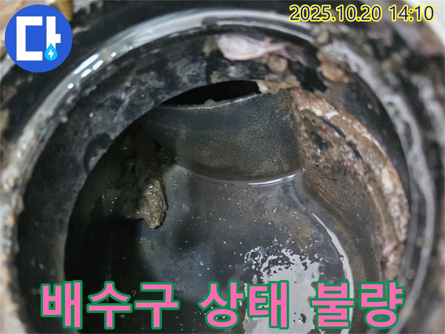 배수구 내부 상태 불량 - 정밀 진단 중