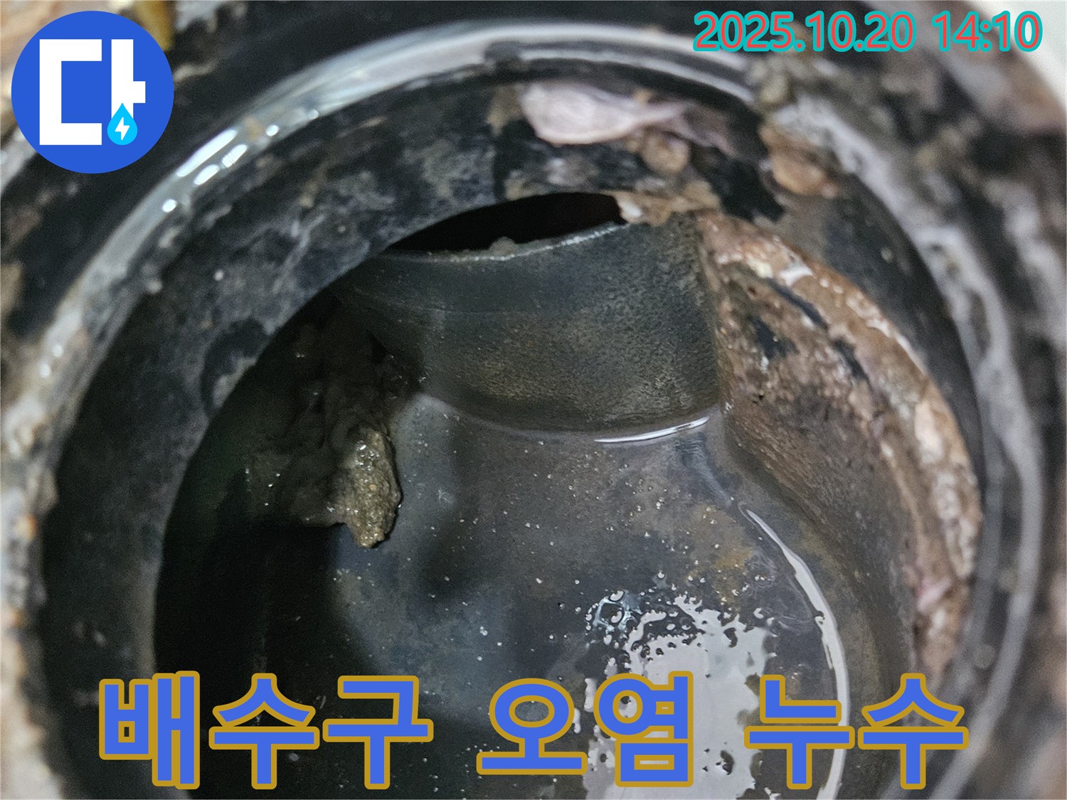 배수구 오염 - 세균 번식과 누수 문제
