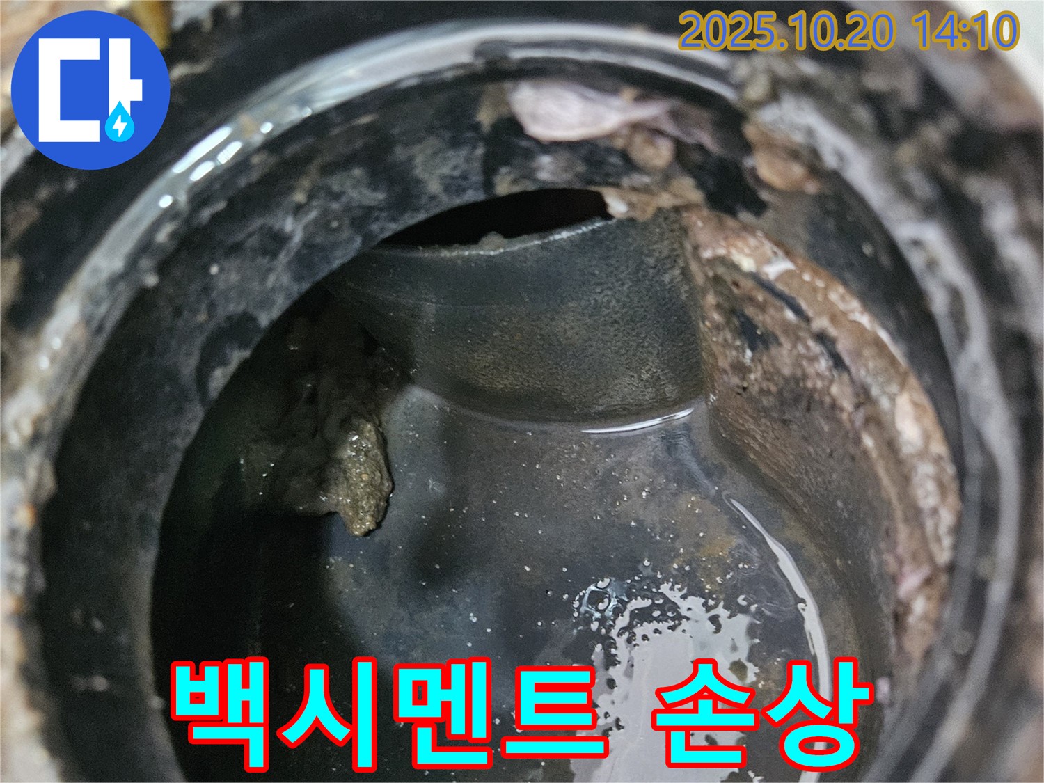 배수구 주변 백시멘트 손상 - 누수 신호 감지