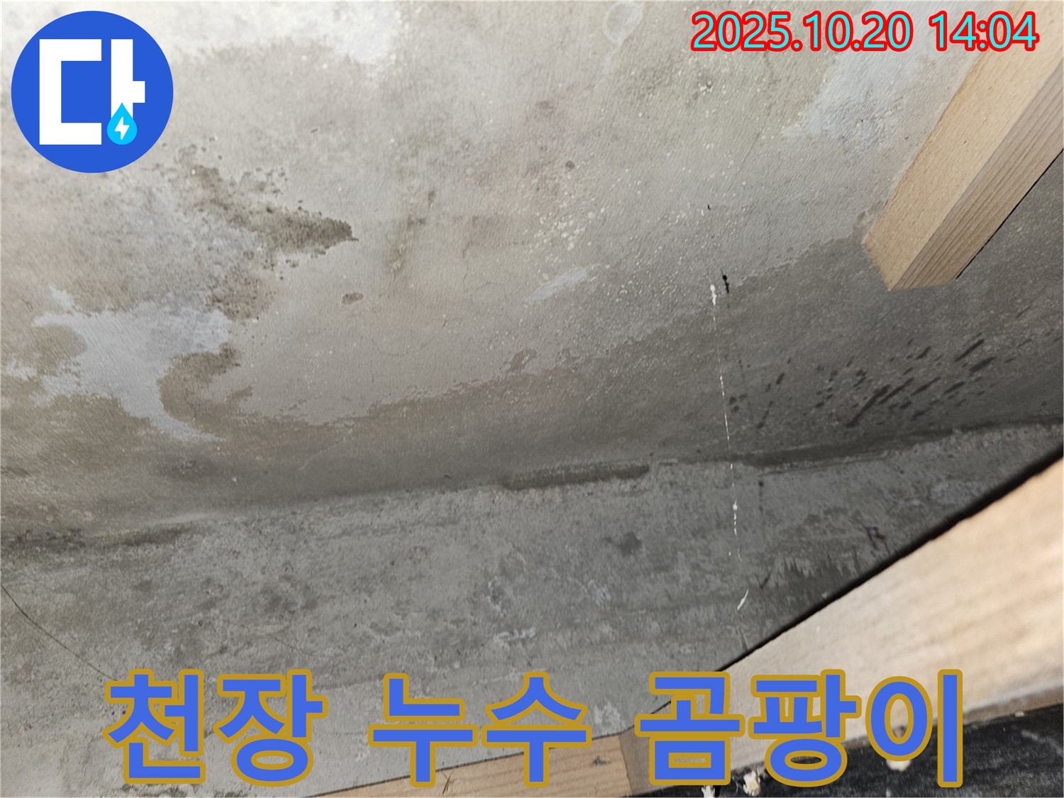 천장 누수 곰팡이 - 누수로 인한 곰팡이 발생