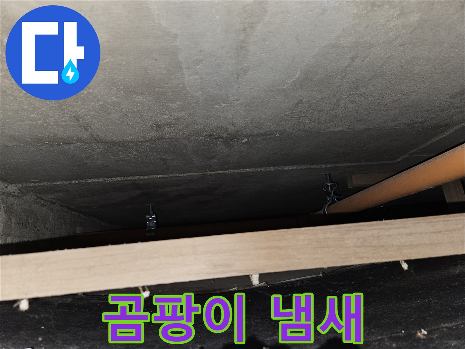 천장 배관 연결 부위 주변 곰팡이 냄새 - 누수 장기화, 건강 문제