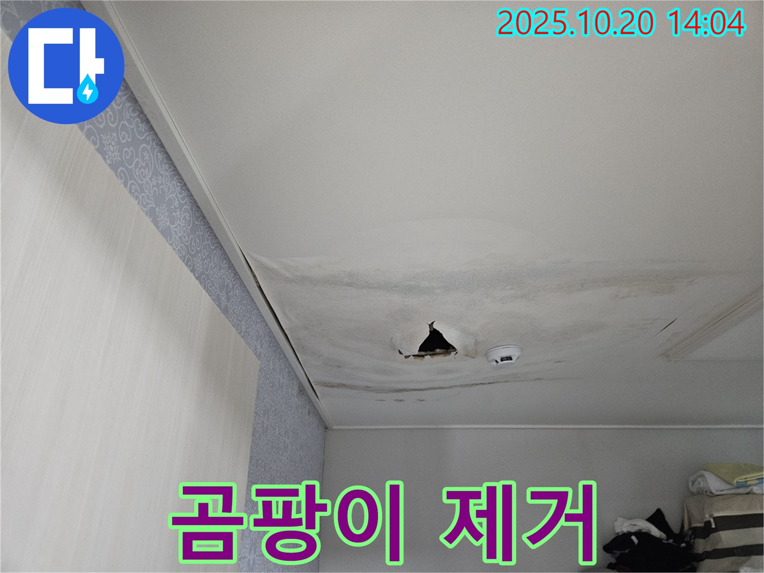 천호동 리버스타운 아파트 누수 - 곰팡이 완벽 제거, 건강한 공간으로