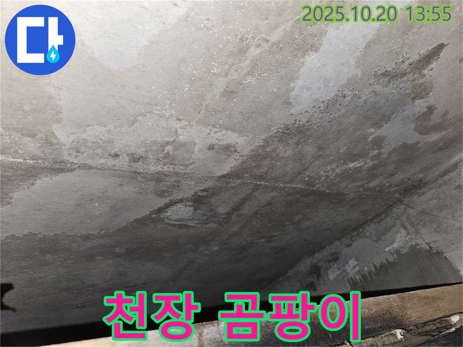 천호동 아파트 콘크리트 천장 누수 - 천장에 곰팡이가 발생한 모습 이미지