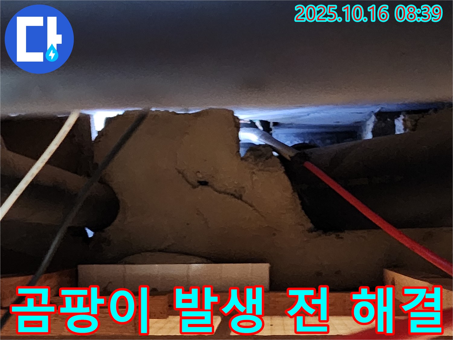 경신리 콘크리트 천장 누수 - 곰팡이 발생 전에 빠른 해결이 중요