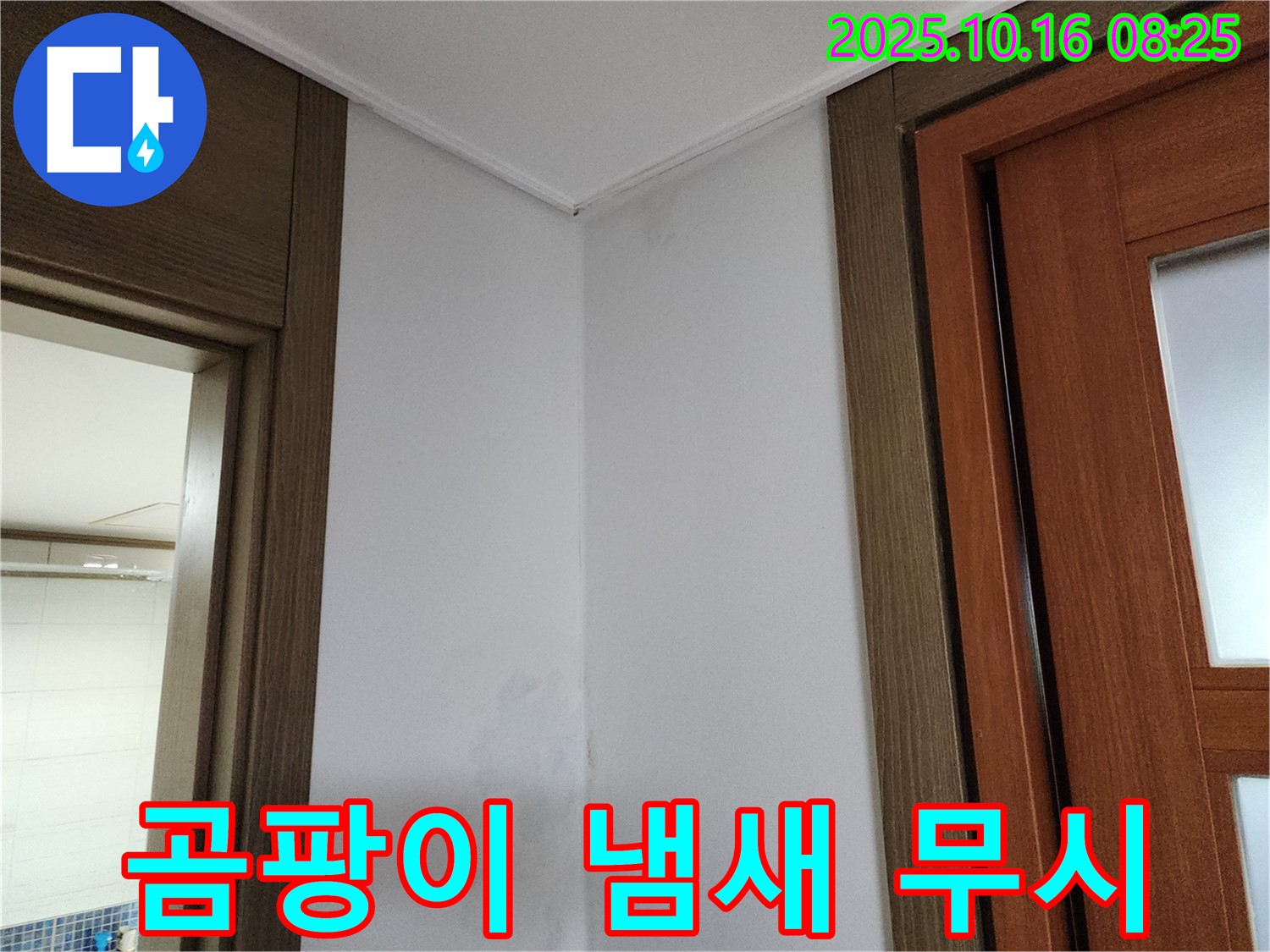 곰팡이 냄새 - 불쾌한 신호 - 누수 점검 필요 - 무시 금지