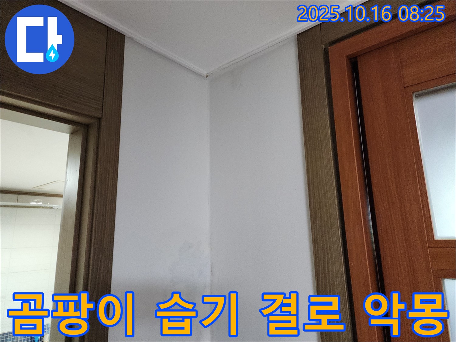 곰팡이 - 습기 - 결로 악몽 - 누수 해결 - 저희가 끝