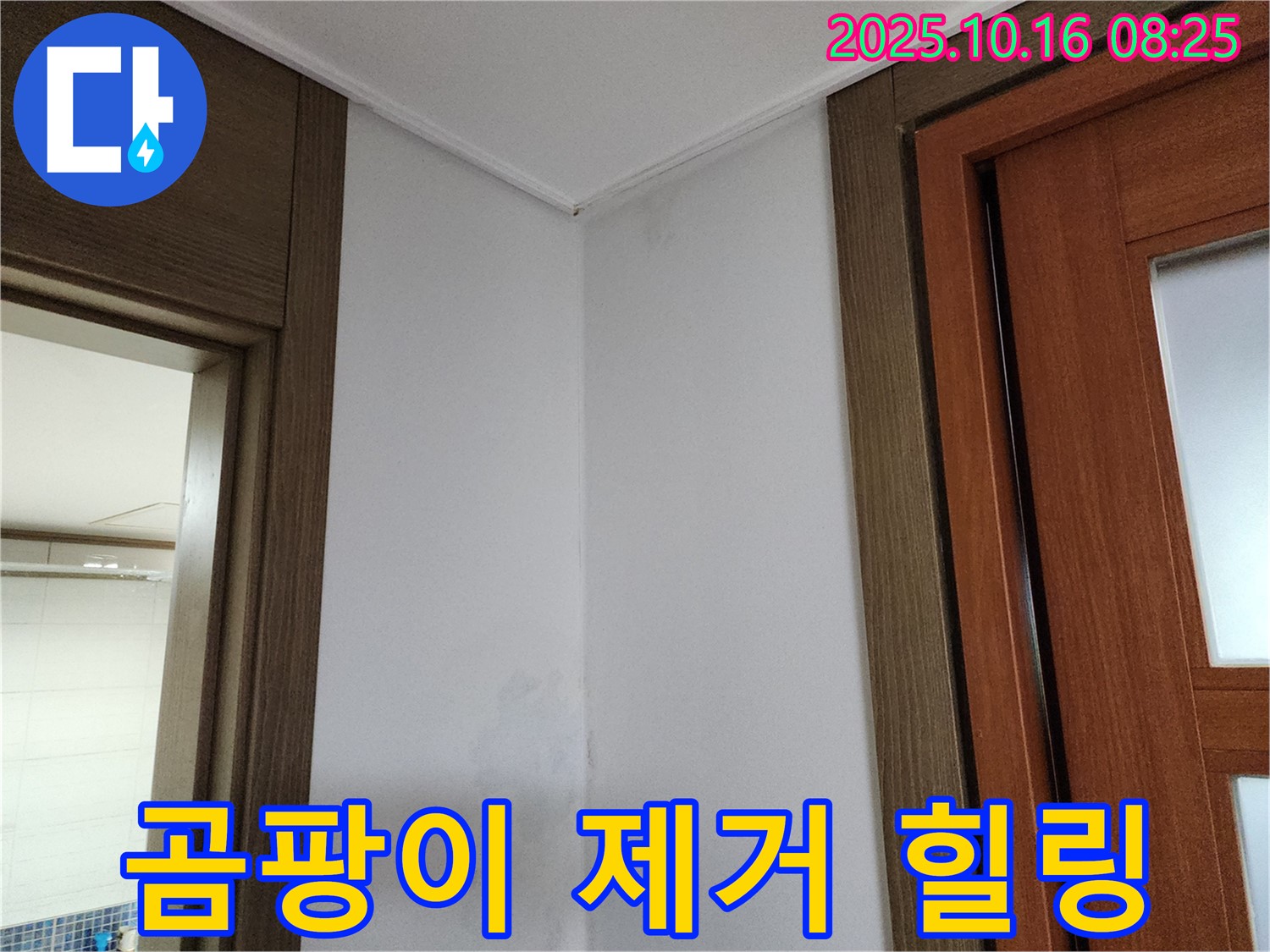 곰팡이 완벽 제거 - 쾌적한 공간 - 힐링 하세요