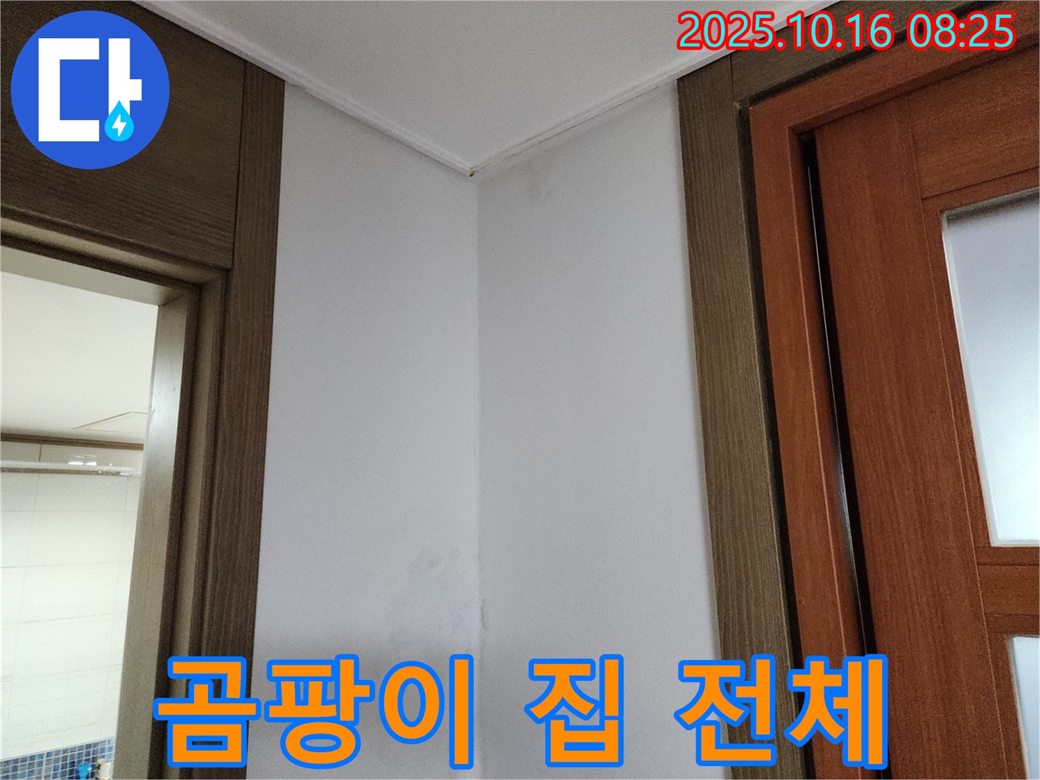 곰팡이 - 집 전체 손상 - 누수 방치 금지 - 후회 전에