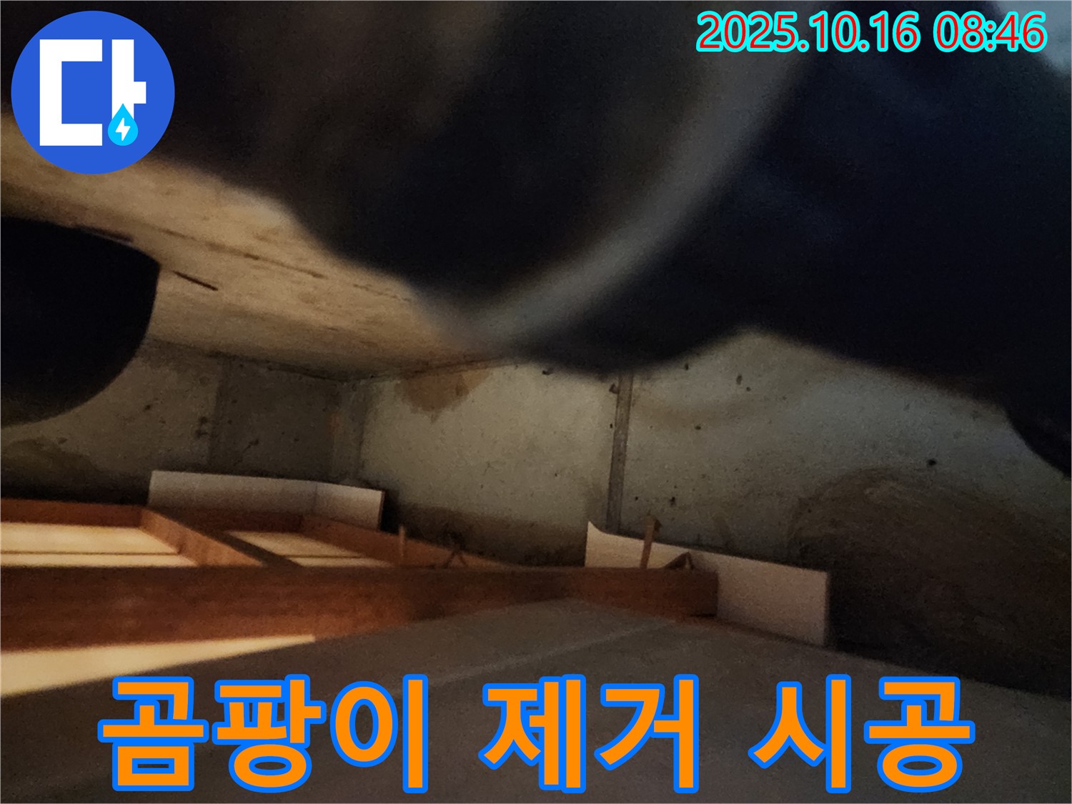 남면 주택 누수 - 곰팡이 완벽 제거로 쾌적한 공간으로 변신