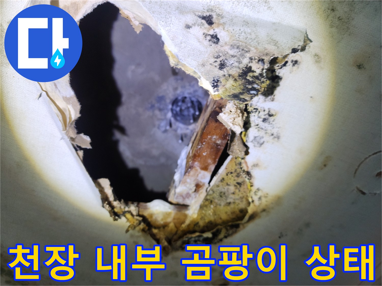누수-발생-지점의-천장-내부-오염-상태