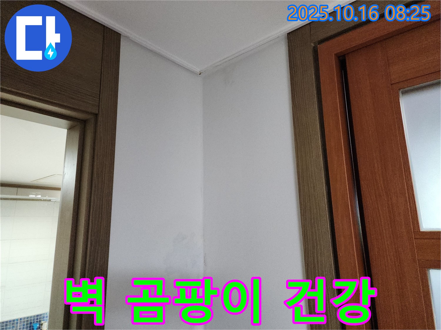 벽 곰팡이 - 건강 적신호 - 누수 점검 필수