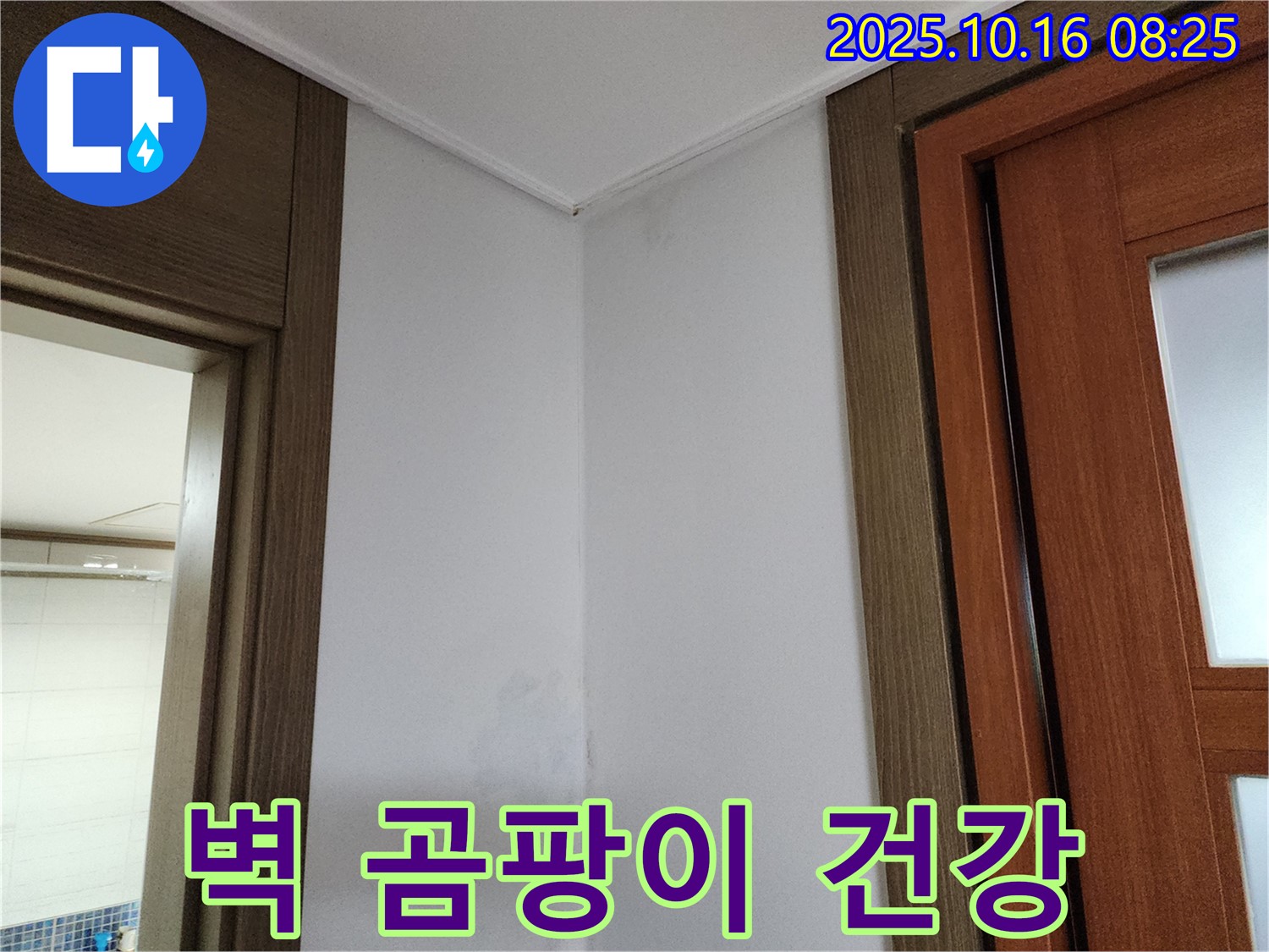 벽 곰팡이 - 건강 적신호 - 누수 점검 필수