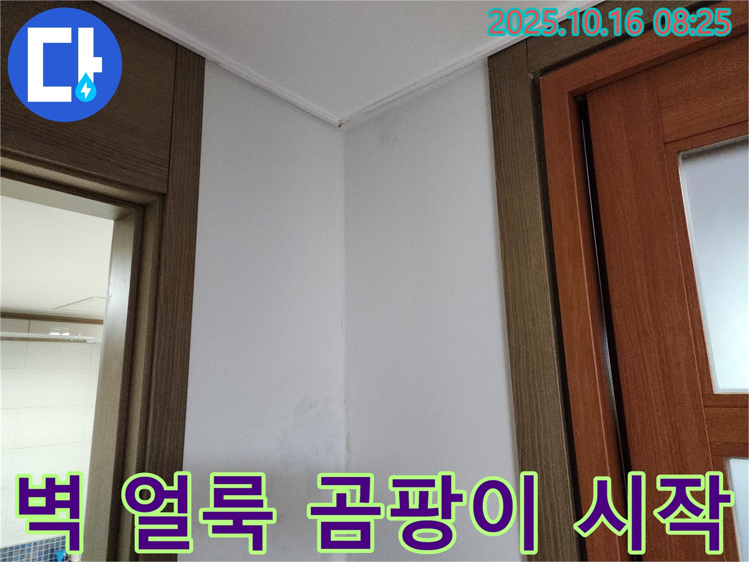 벽 얼룩 - 곰팡이 시작 - 누수 의심 - 초기 점검