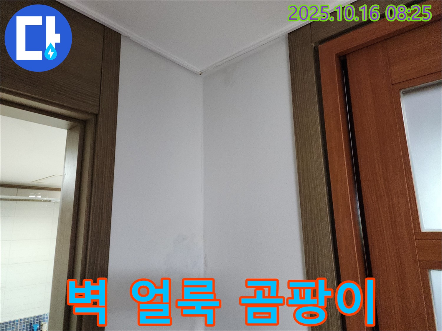 벽 얼룩 - 곰팡이 시작 - 누수 의심 - 초기 점검 - 작은 신호