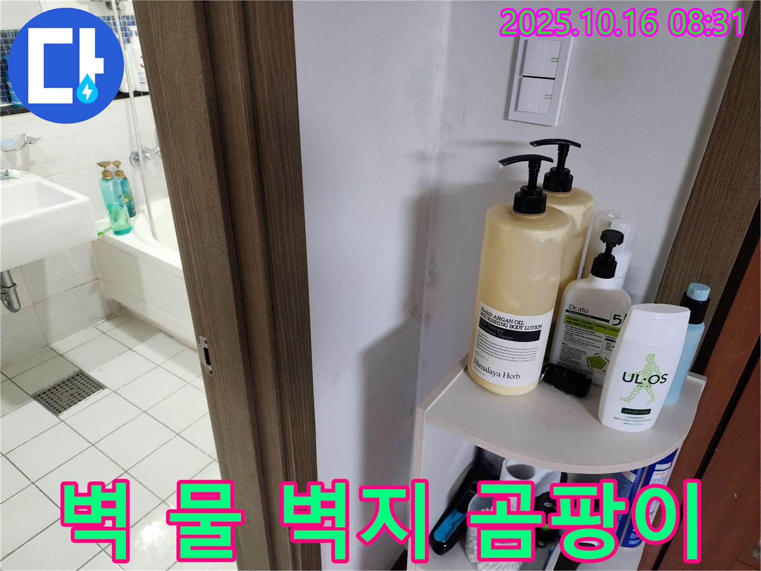 양주 경신리 욕실 누수 - 벽 젖은 벽지와 곰팡이, 누수 의심