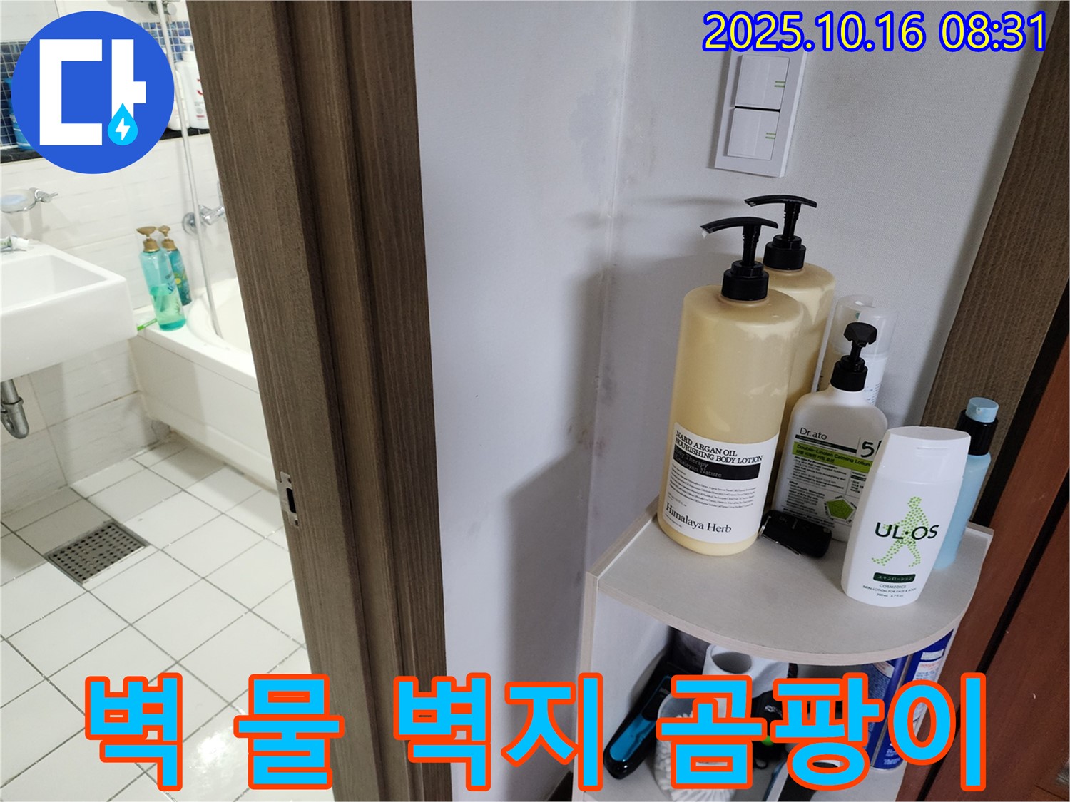 양주 경신리 욕실 누수 - 벽 젖은 벽지와 곰팡이, 누수 의심