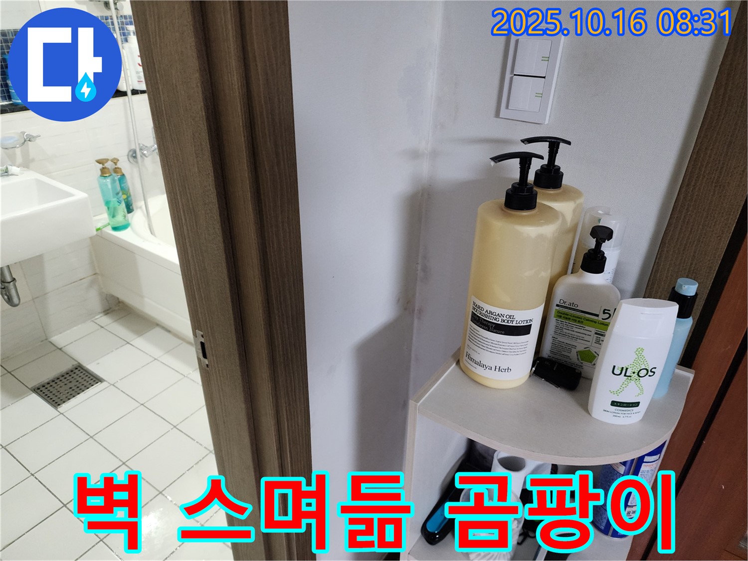 양주 경신리 욕실 누수 - 젖은 벽과 곰팡이, 누수 가능성 확인