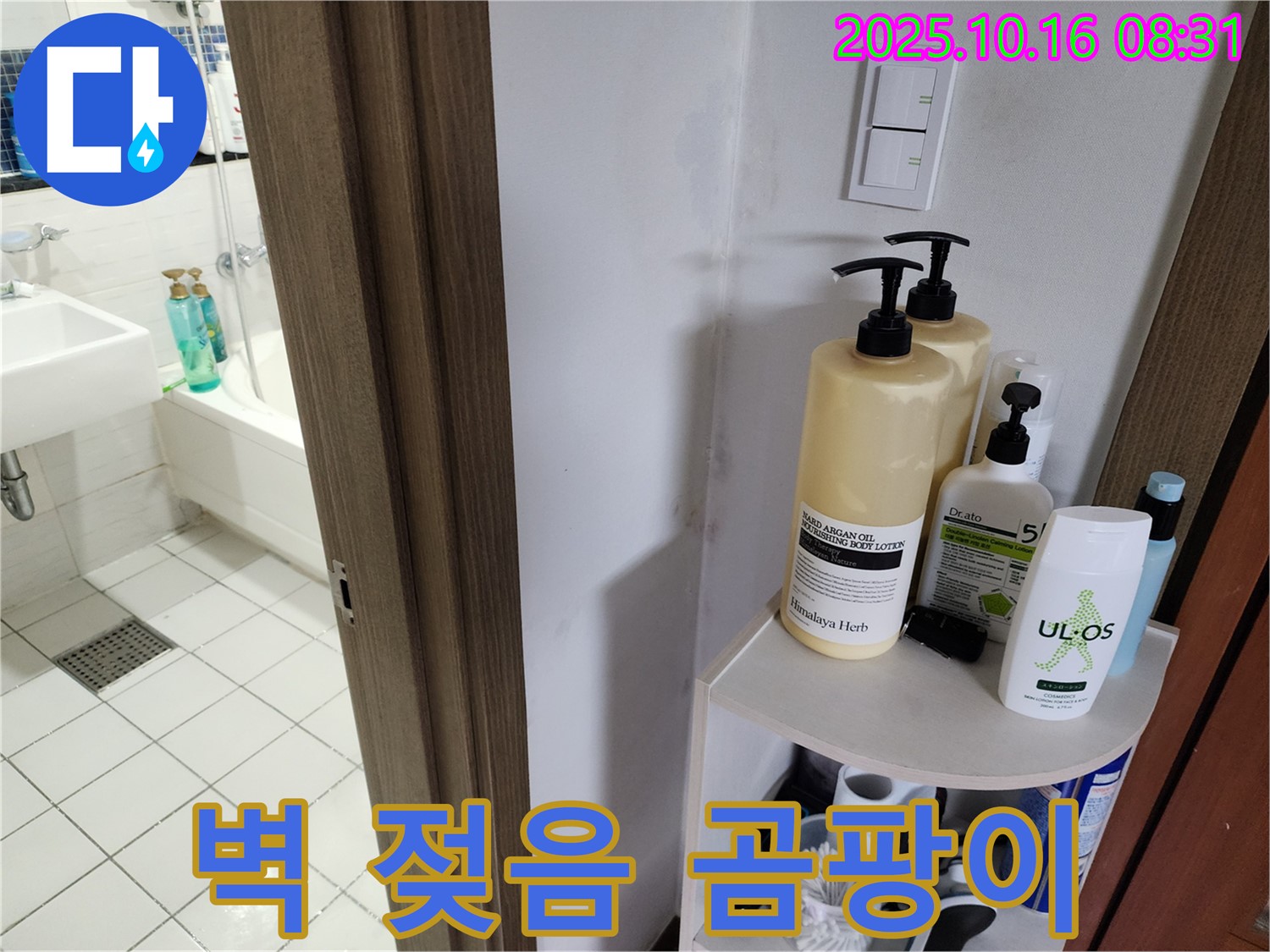 양주 경신리 욕실 누수 - 젖은 벽과 곰팡이, 누수 가능성 확인