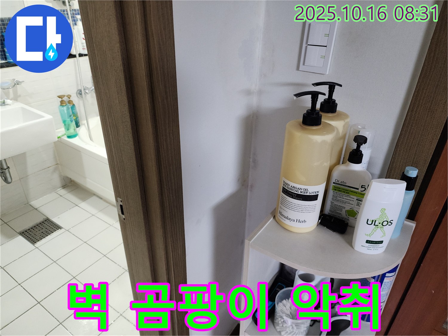 양주 남면 경신리 욕실 누수 - 곰팡이와 악취, 심각한 누수 의심