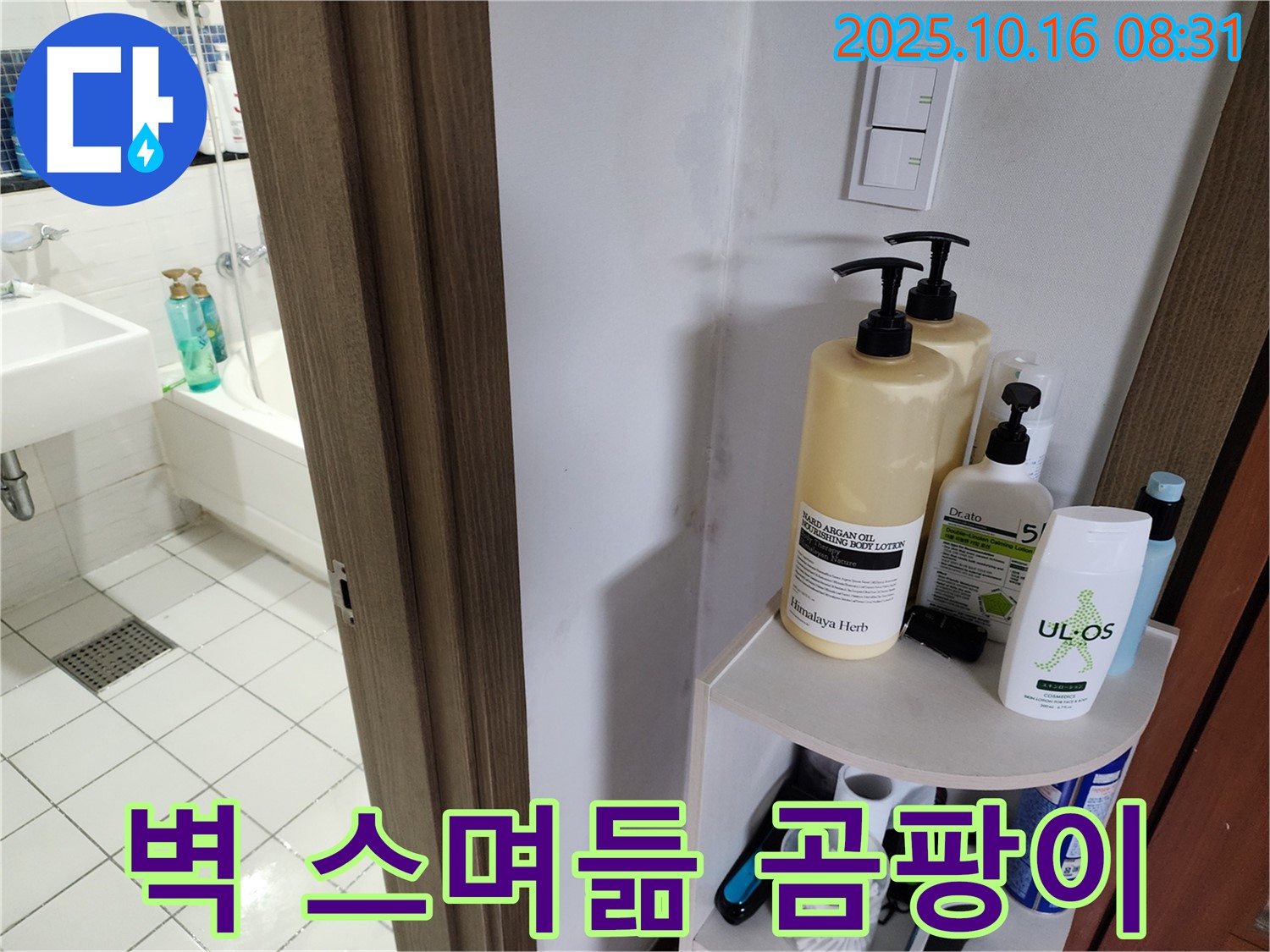 양주 남면 경신리 욕실 누수 - 벽 물 스며듦과 곰팡이, 습기 문제
