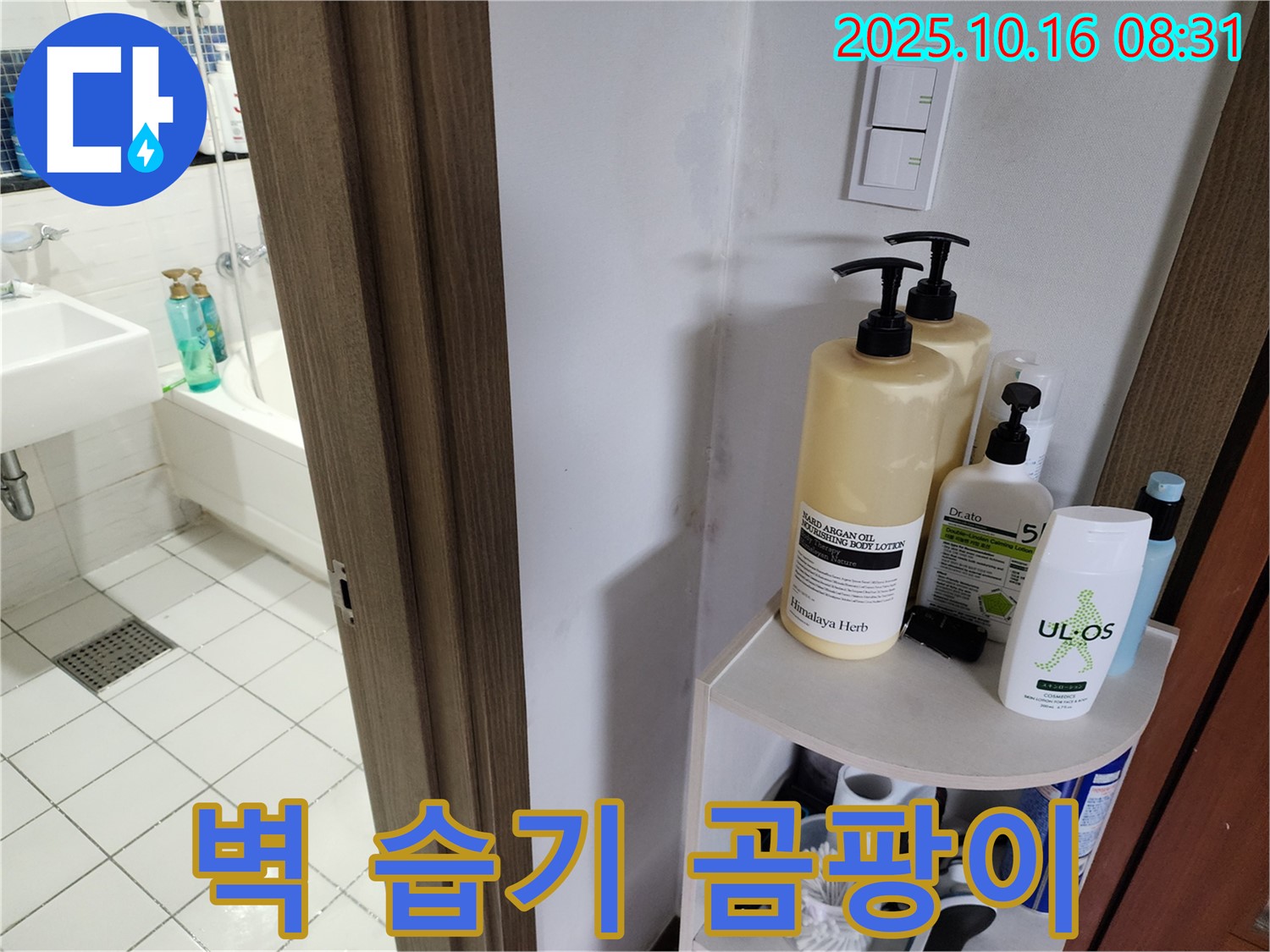 양주 남면 경신리 욕실 누수 - 벽 습기와 곰팡이, 환기 부족