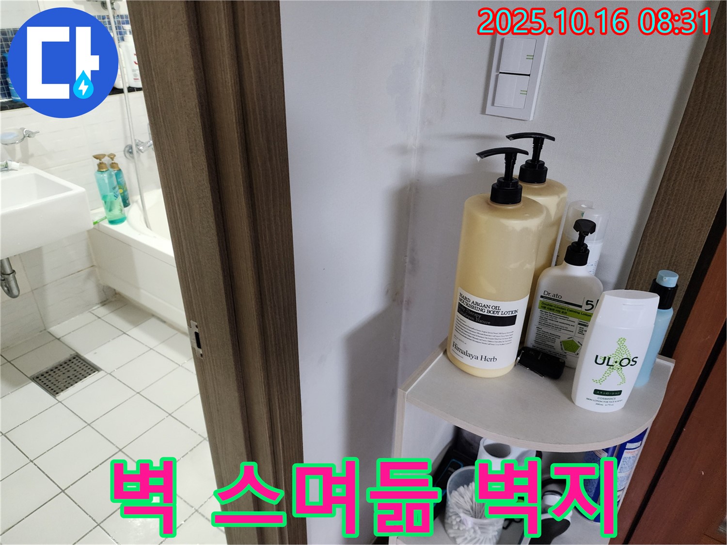 양주 남면 경신리 욕실 누수 - 젖은 벽지와 곰팡이, 누수 가능성