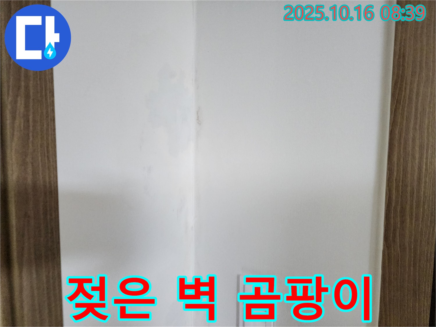 양주 주택 젖은 벽 - 곰팡이 고속도로, 예방 점검 필수