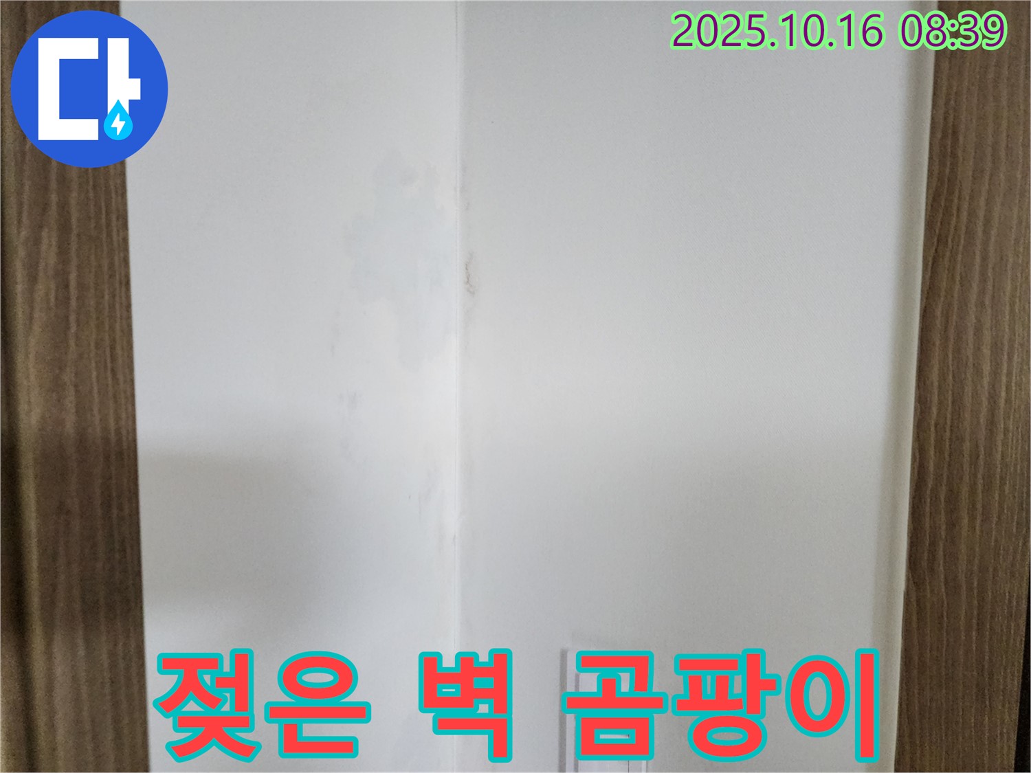 양주 주택 젖은 벽 - 곰팡이 최적 환경, 누수 해결 시급