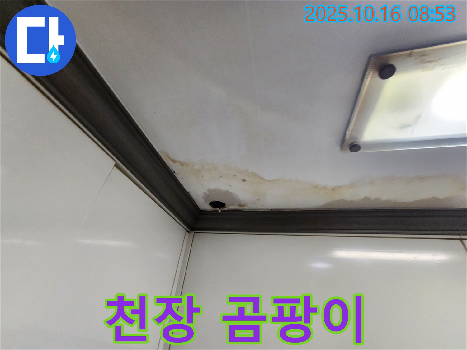 양주시 남면 경신리 누수 - 천장 누수, 곰팡이 발생