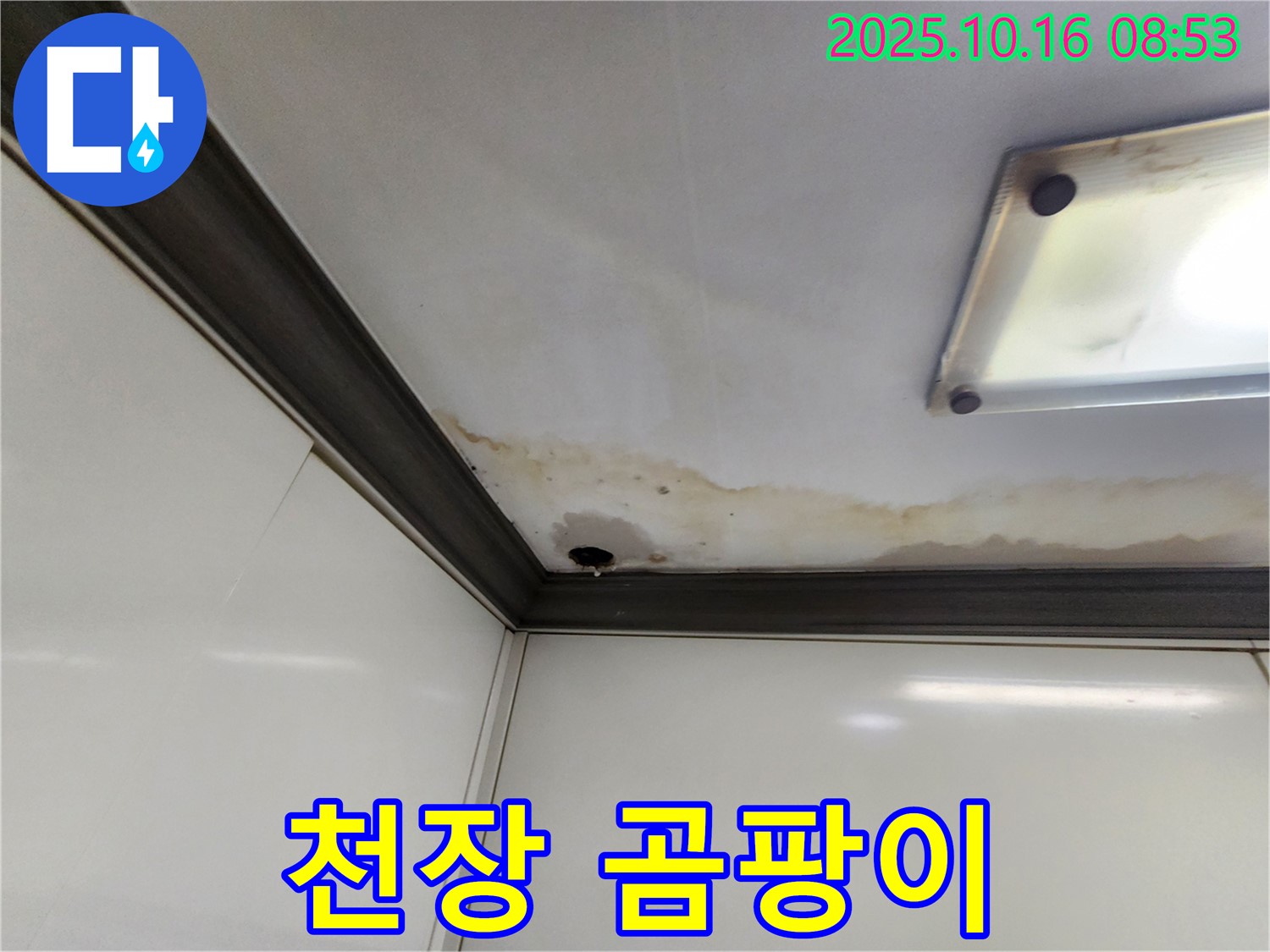 양주시 남면 경신리 누수 - 천장 누수, 곰팡이 발생