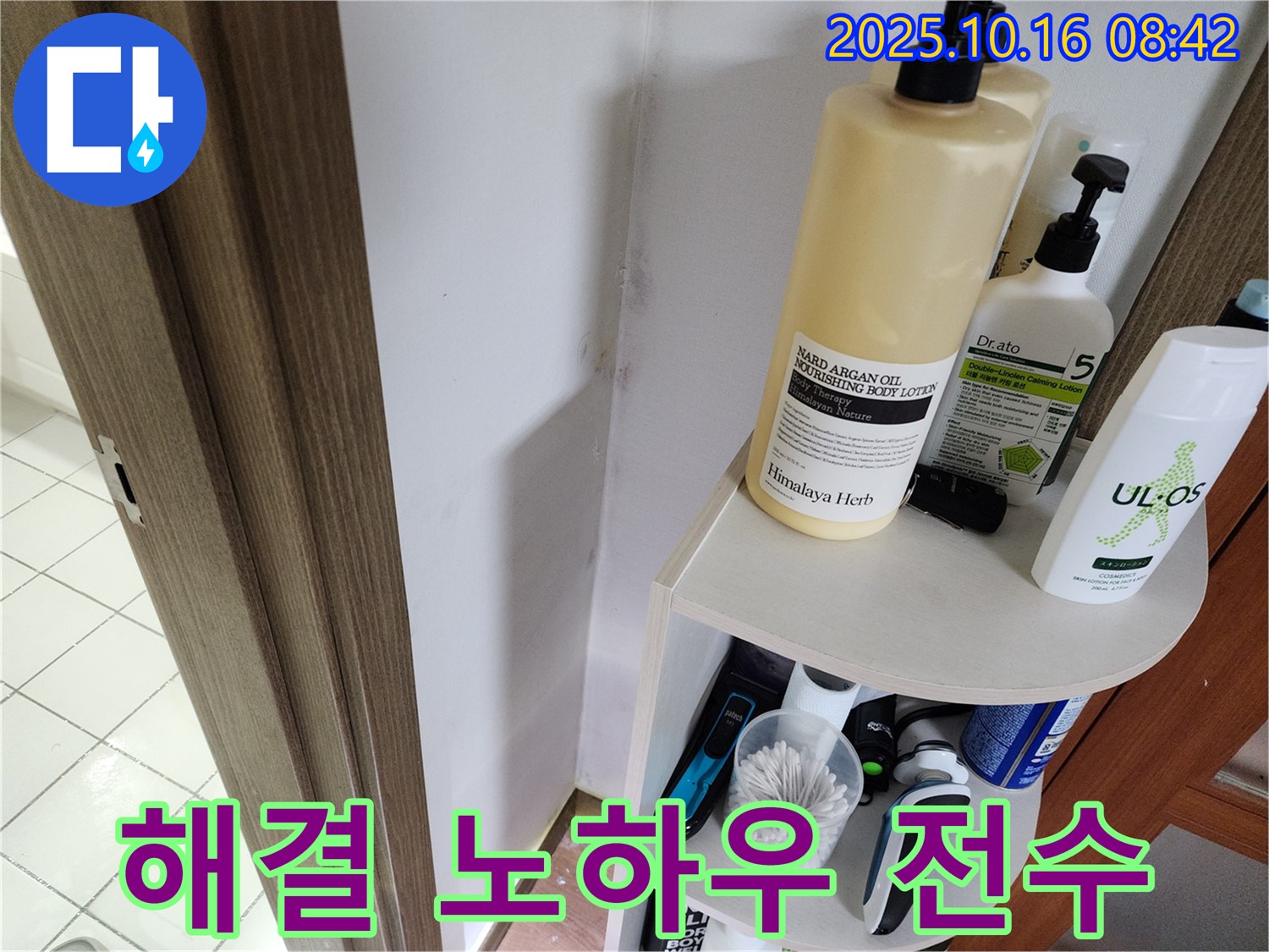 양주시 남면 경신리 욕실 곰팡이 - 누수탐지 전문가의 완벽 해결 노하우 전수!