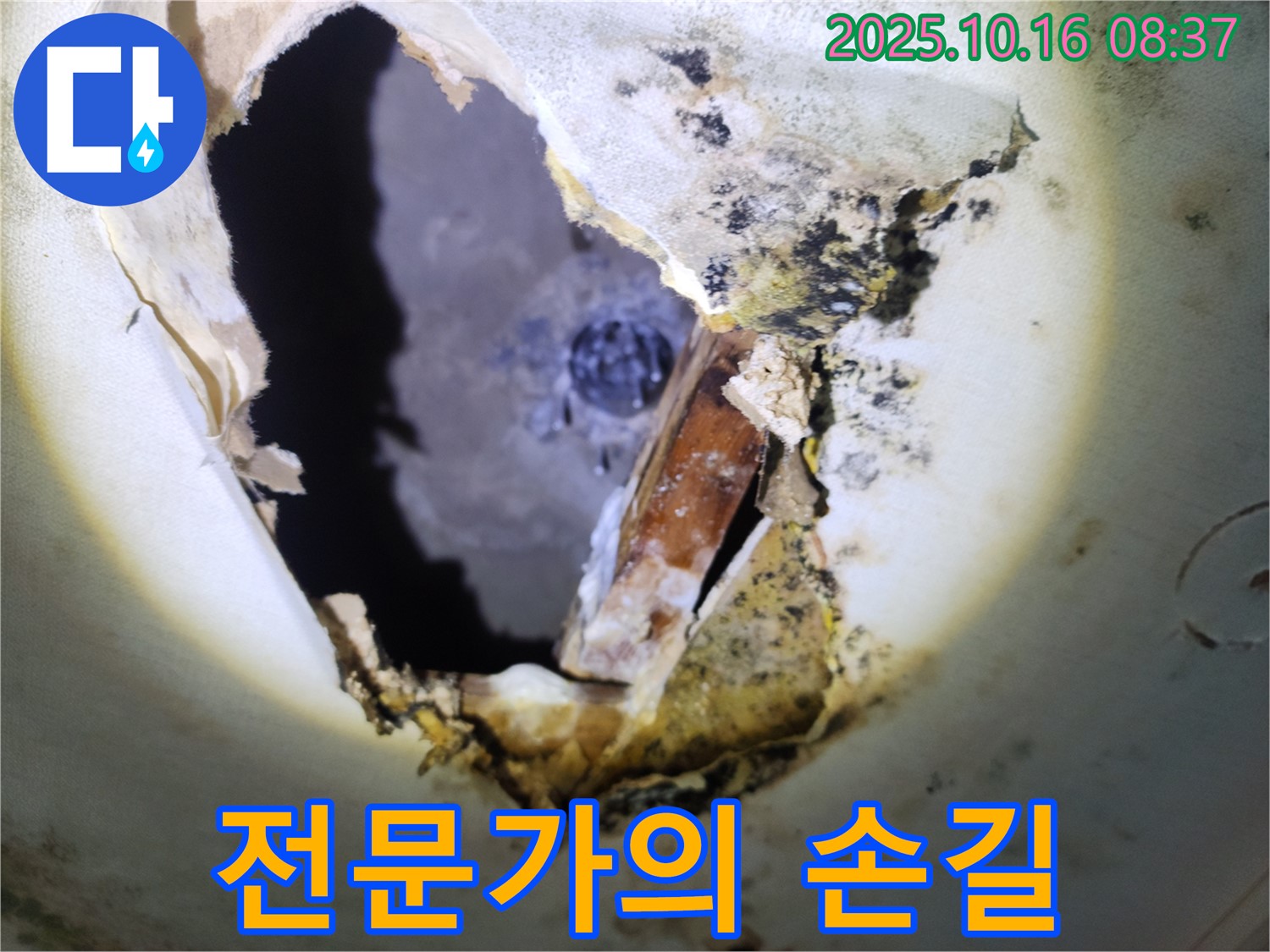 양주시 남면 경신리 주택 천장 - 곰팡이 천장, 누수 문제 이제 걱정하지 마시고 전문가에게 맡기세요!