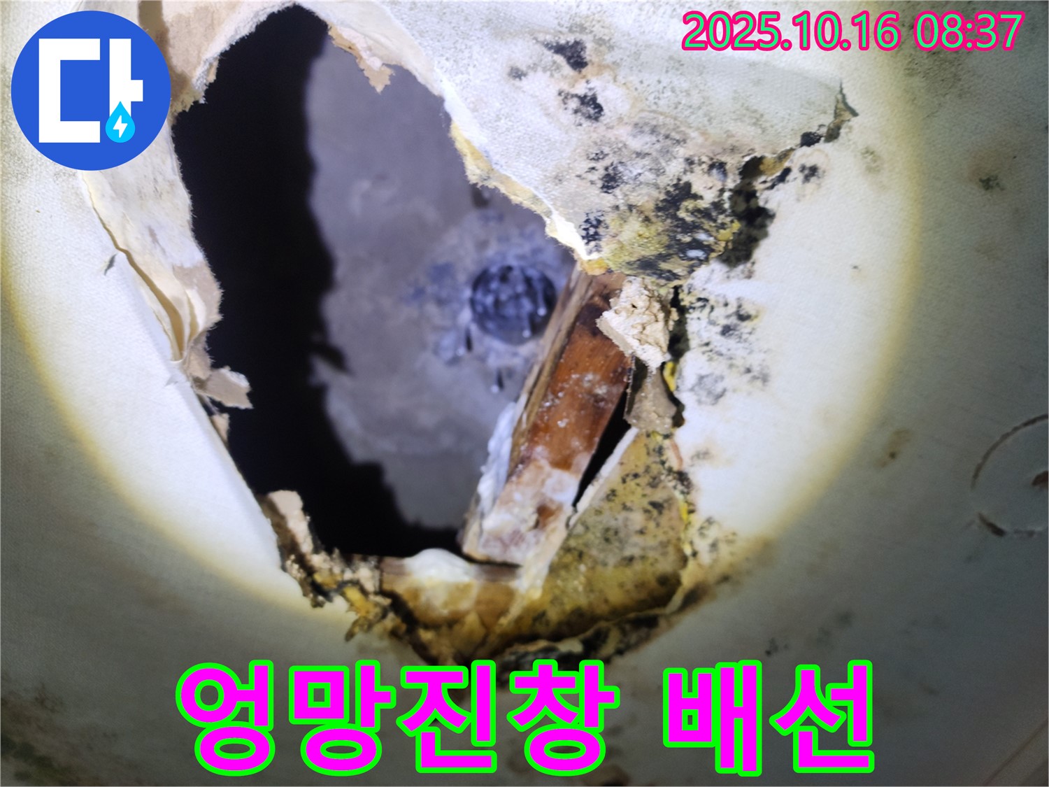 양주시 남면 경신리 주택 천장 - 곰팡이 천장 속 엉망진창 배선 - 감전 위험이 있습니다!