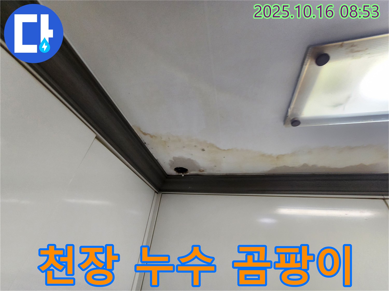 양주시 남면 경신리 천장 누수 - 곰팡이 발생