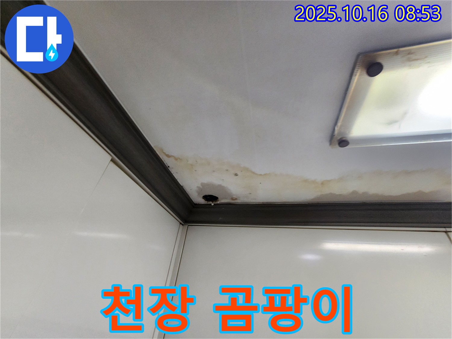 양주시 남면 경신리 천장 누수 - 곰팡이 발생 위험
