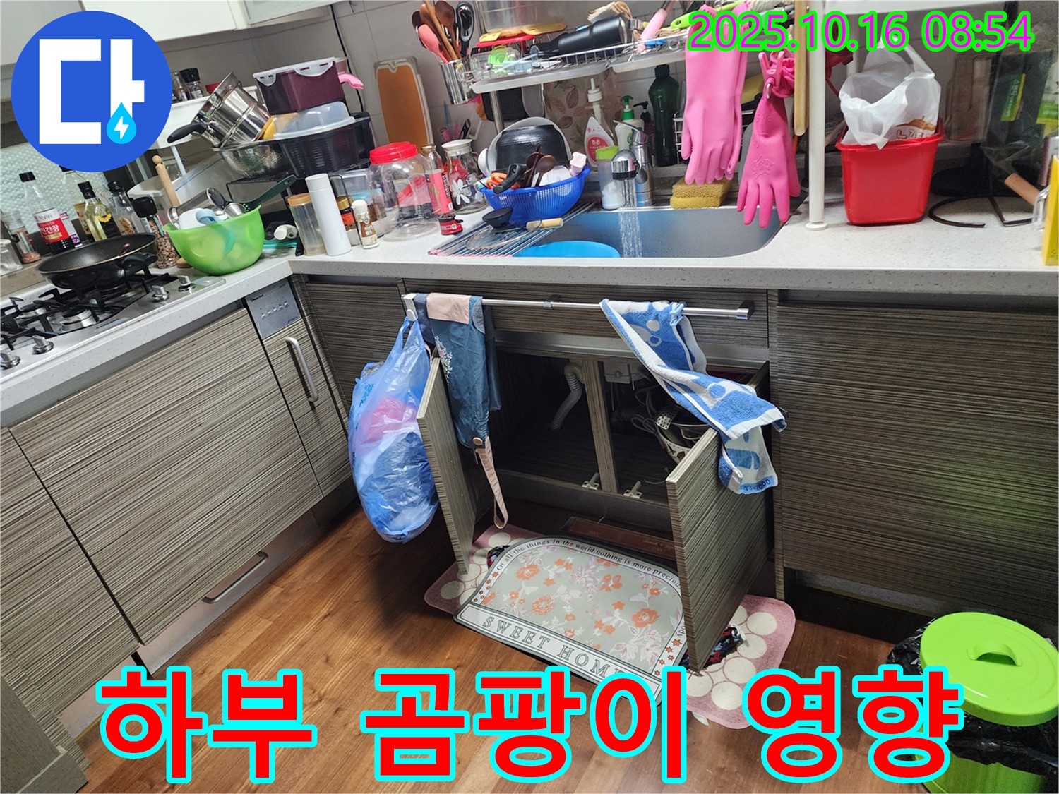 양주시 남면 누수 - 싱크대 하부에 핀 곰팡이, 우리 가족 건강에 괜찮을까요?