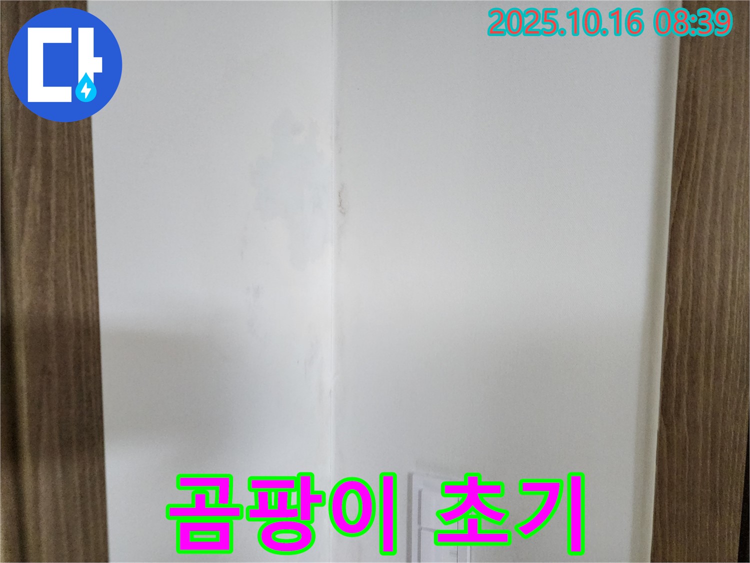 양주시 남면 주택 곰팡이 초기 - 작은 실천, 쾌적한 공간, 누수 점검